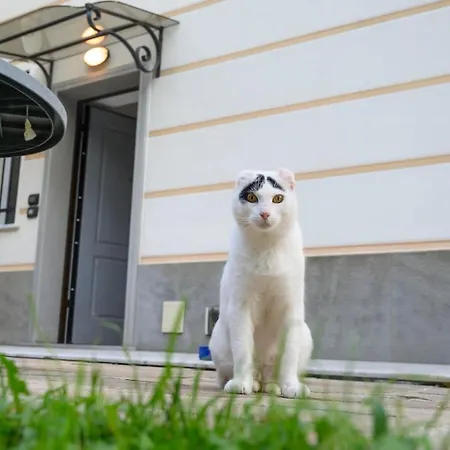 E Terrazza Vista Mare Con Giardino Finale Ligure