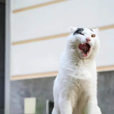 Hébergement de vacances E Terrazza Vista Mare Con Giardino Finale Ligure