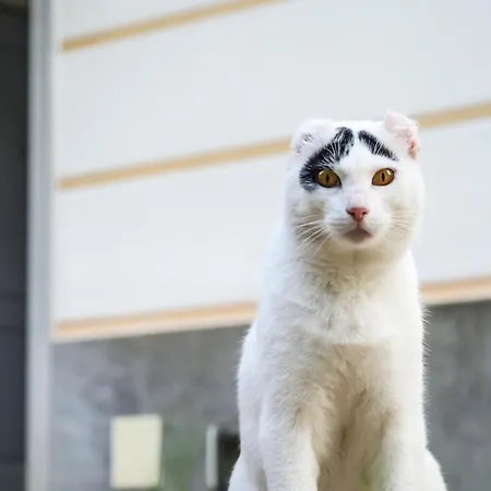 Hébergement de vacances E Terrazza Vista Mare Con Giardino
