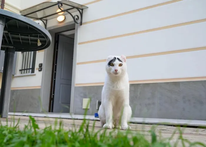 E Terrazza Vista Mare Con Giardino Finale Ligure