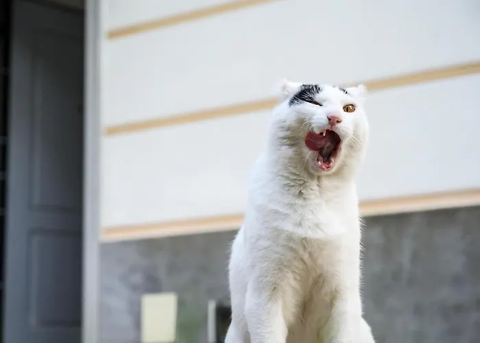 Vakantiehuis E Terrazza Vista Mare Con Giardino Finale Ligure