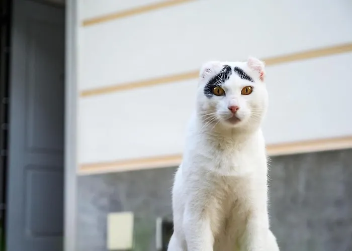 Vakantiehuis E Terrazza Vista Mare Con Giardino